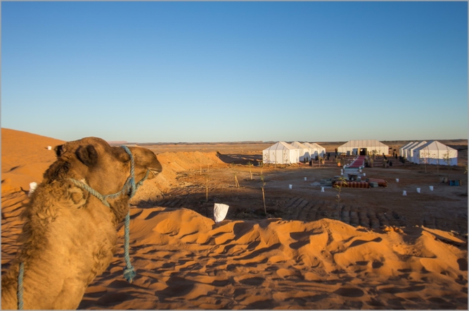 Mohayut Desert Activities