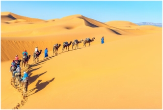 Activities Merzouga Desert